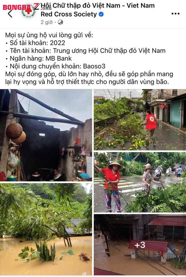 Phương Lê góp 500 triệu đồng hỗ trợ người dân vùng bị thiên tai